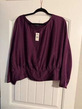 Express Women's Plum Long Sleeve Blouson Top